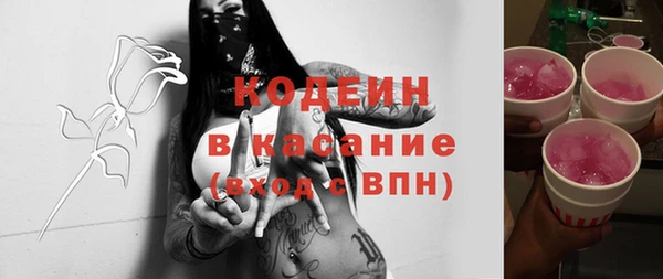 гидра Беслан