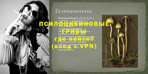 не бодяженный Билибино