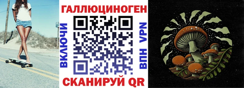где купить   Грайворон  Галлюциногенные грибы Magic Shrooms 